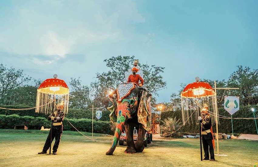 Top Wedding Planners in Chandigarh