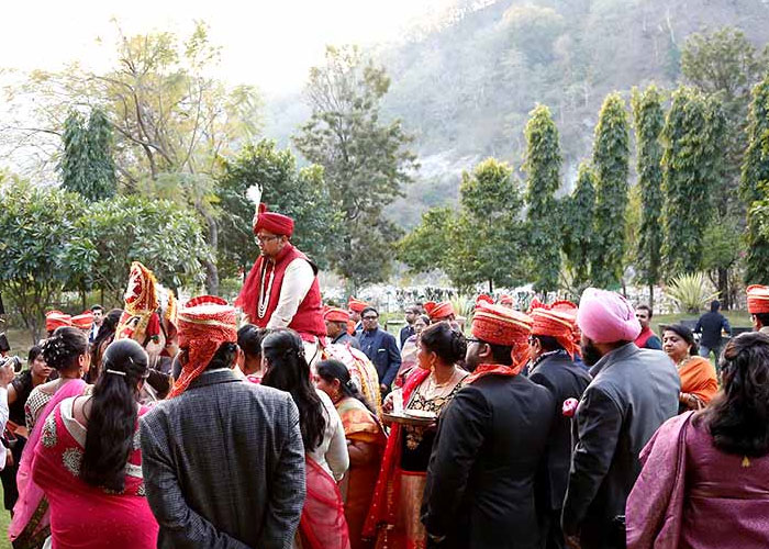 Top Wedding Planners in Chandigarh