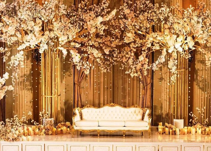 Top Wedding Planners in Chandigarh
