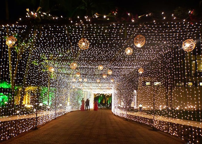 Top Wedding Planners in Chandigarh