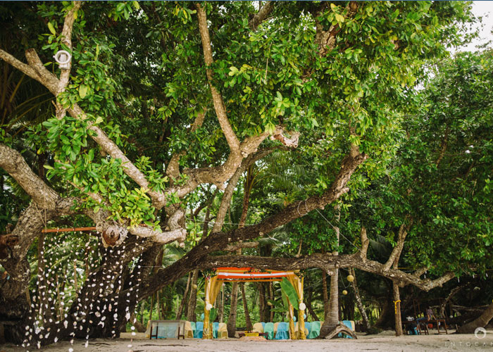 Top Wedding Planners in Chandigarh