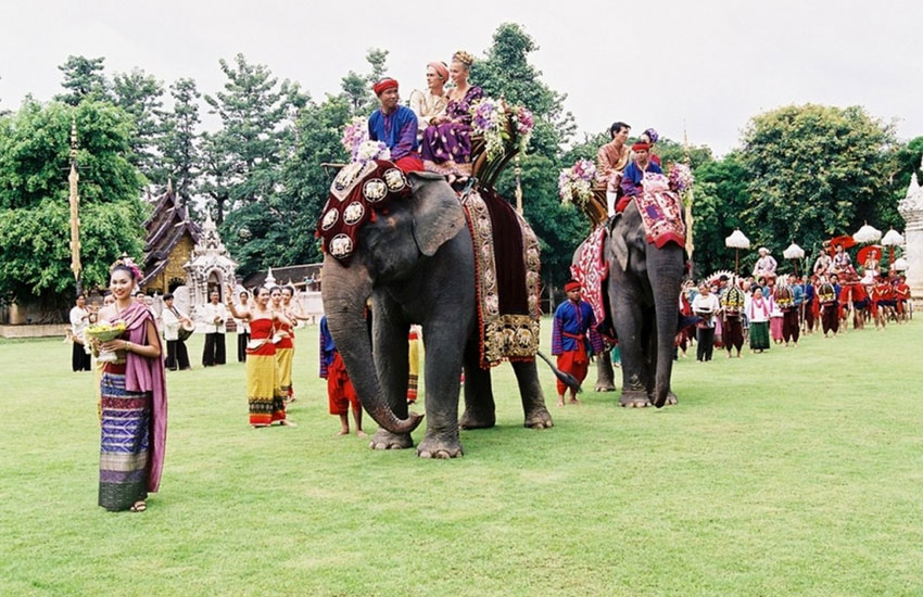 Top Wedding Planners in Chandigarh
