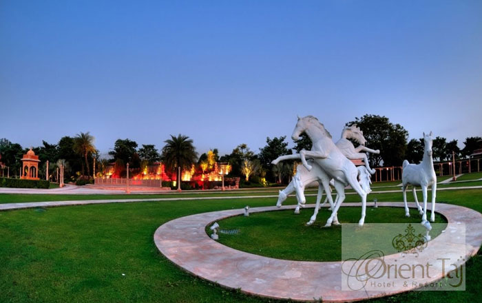 Top Wedding Planners in Chandigarh