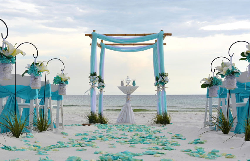 Top Wedding Planners in Chandigarh
