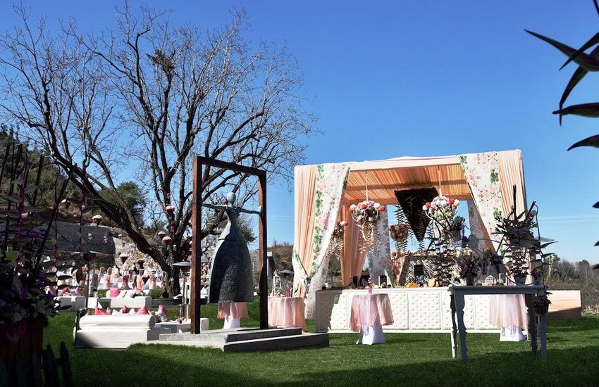 Top Wedding Planners in Chandigarh